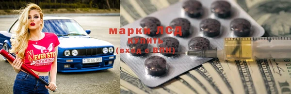 шишки Надым