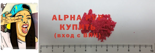 шишки Надым